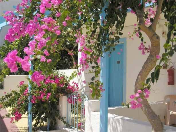Castelia Bay Hotel Amoopi Exteriör bild